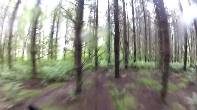 05-26-14 - Coyote Singletrack смотреть онлайн