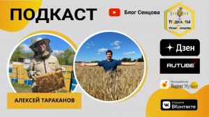 Подкаст Ильи Сенцова #16 - в гостях Алексей Тараканов