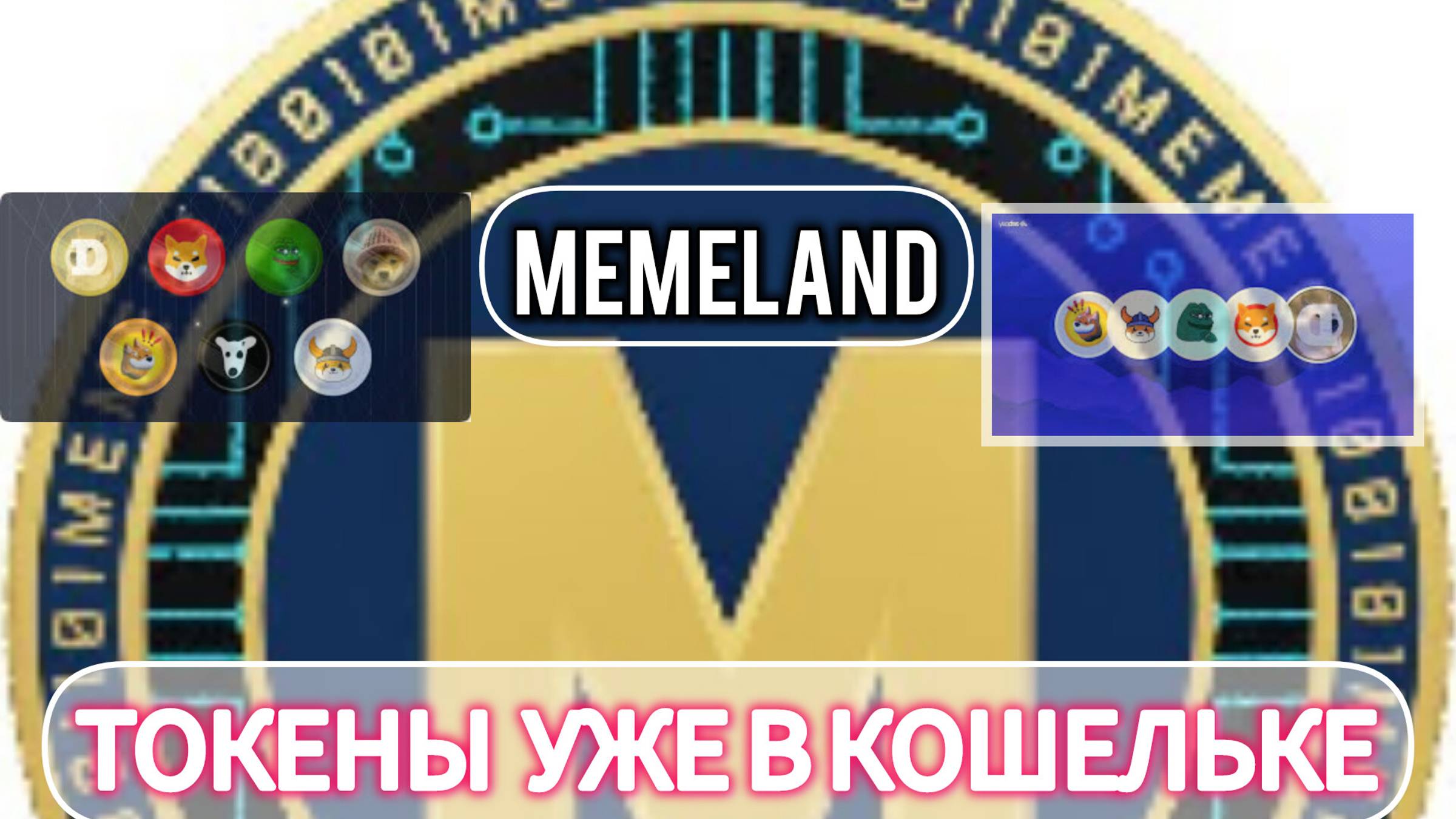 MEMELAND. ПОЛУЧИЛ НА КОШЕЛЕК MEMES 😂💸 #Мемы #Деньги #Смех #Юмор #Веселье