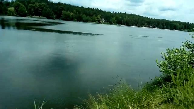 Липа... дурман лета:-) смотреть онлайн