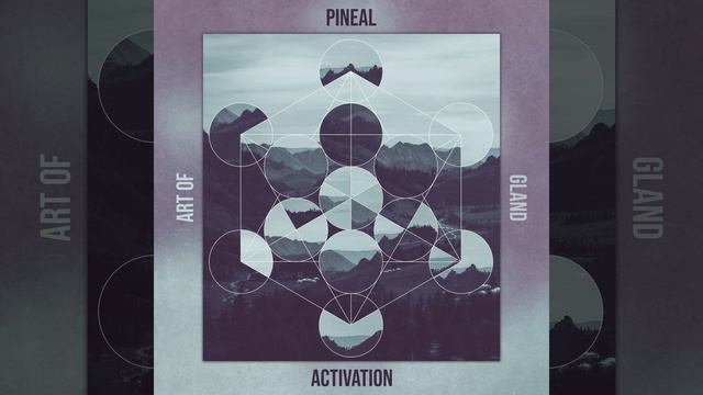 Pure Detox смотреть онлайн