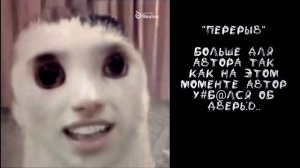 Реакция «Tinny bunny» на Антона и зверей. [Часть 1] !Описание!