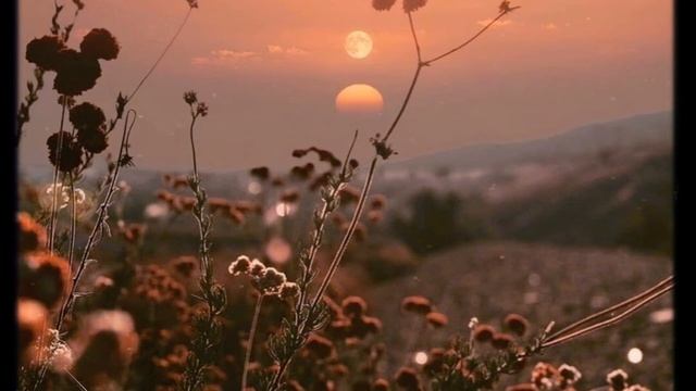 Кругом голова - 84, Volodya XXL, LOOKBUFFALO