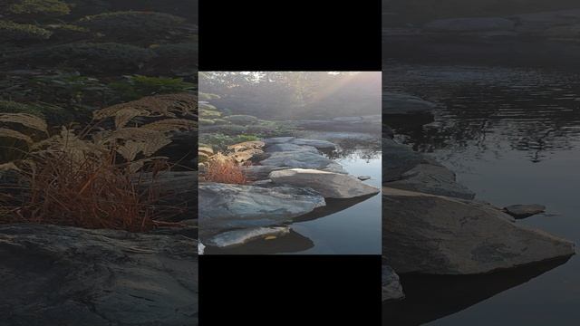 японский сад краснодар водоем у дома комика смотреть онлайн