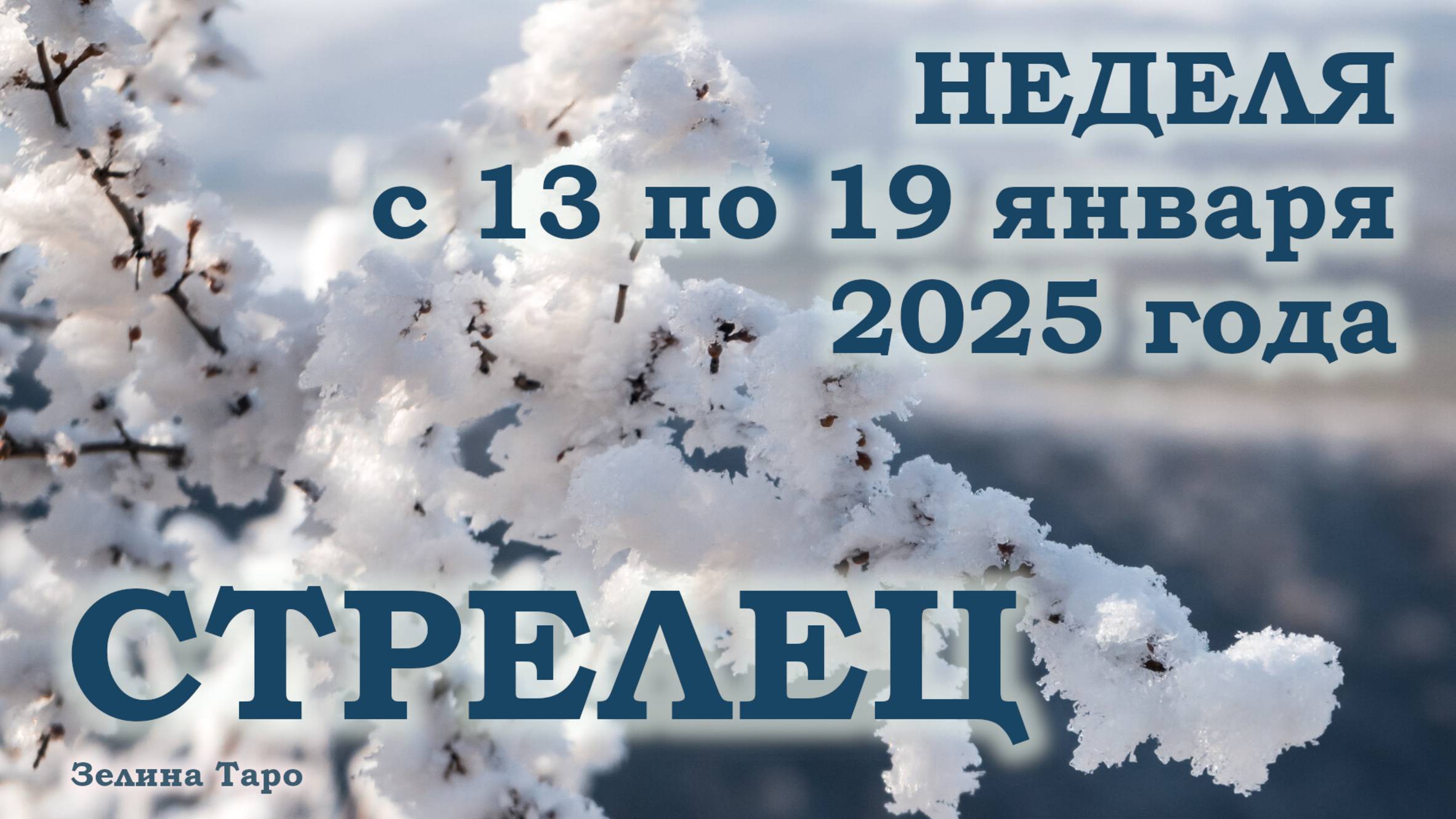 СТРЕЛЕЦ | ТАРО прогноз на неделю с 13 по 19 января 2025 года