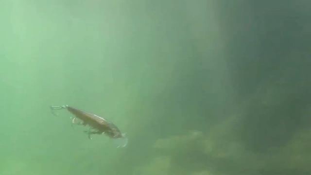 Scatter Rap Minnow PL смотреть онлайн