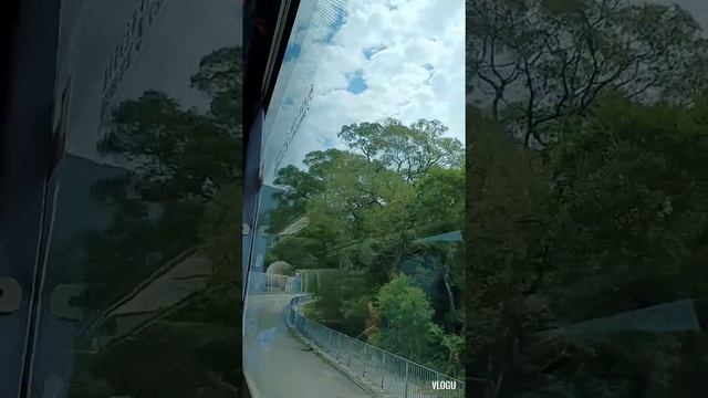 Tian Tan BUDDHA смотреть онлайн