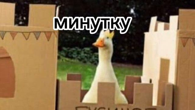 все стикеры в Черепахограде super bear adventure смотреть онлайн