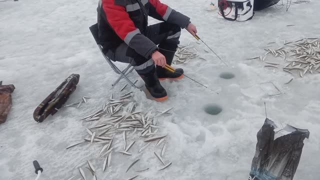 Рыбалка на Сахалине, озеро Изменчивое, 12 января 2025 года смотреть онлайн