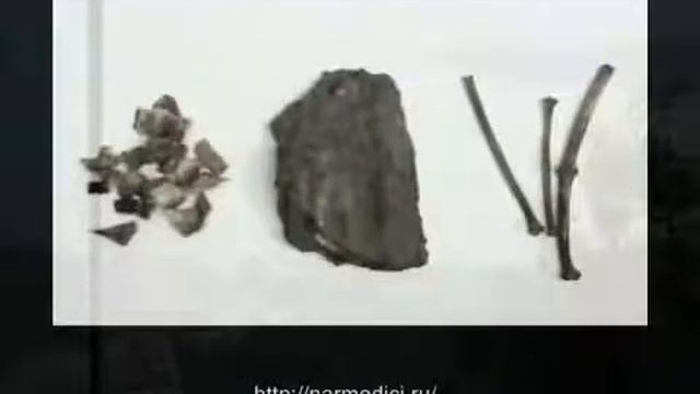 Травы для чая смотреть онлайн