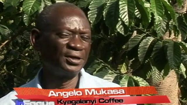 Ugandan Coffee смотреть онлайн