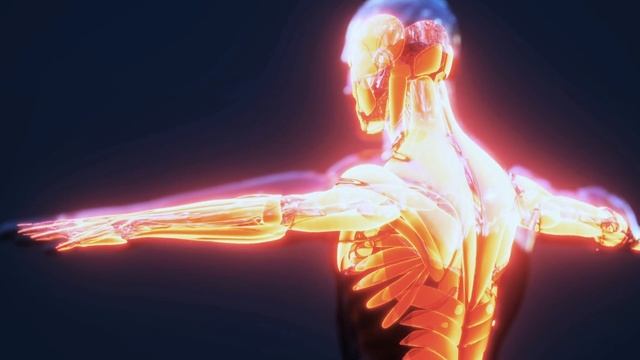 ¿Qué le OCURRE al cuerpo si TOMA ZINC? Por qué ZINC es TAN IMPORTANTE para los HOMBRES QUE ENTRENAN смотреть онлайн