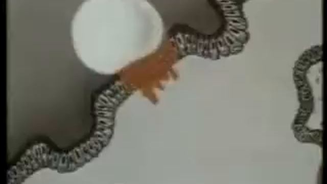 Размножение и развитие смотреть онлайн