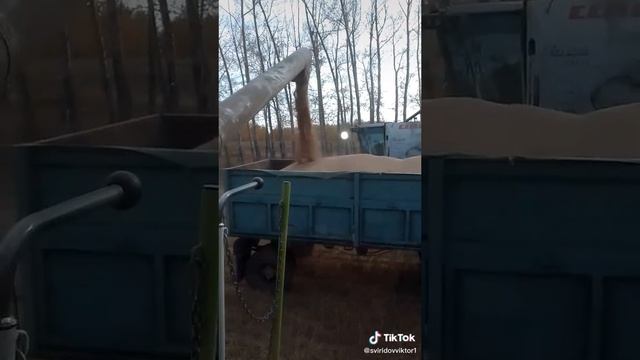 Виктор Свиридов