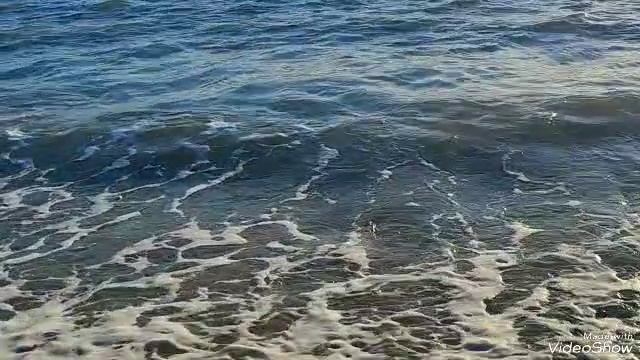 Пошла волна...🌊 смотреть онлайн