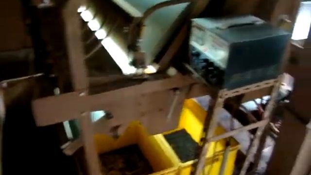 Еще один вариант сортировки чая смотреть онлайн