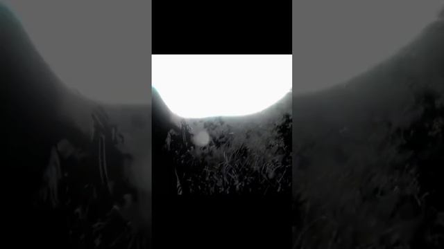 Сталкер