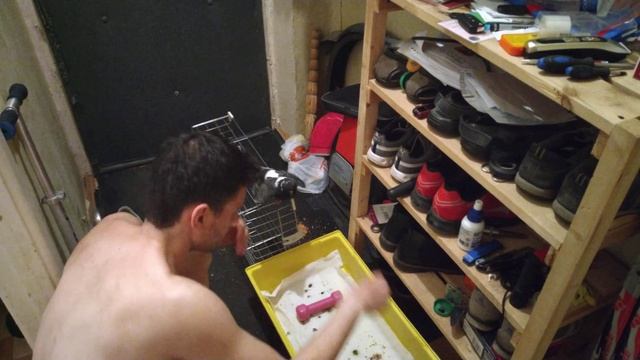 Спасли голубёнка от ворон, кормим с рук, он учится летать, садится на голову, клюёт в темечко 😅 смотреть онлайн