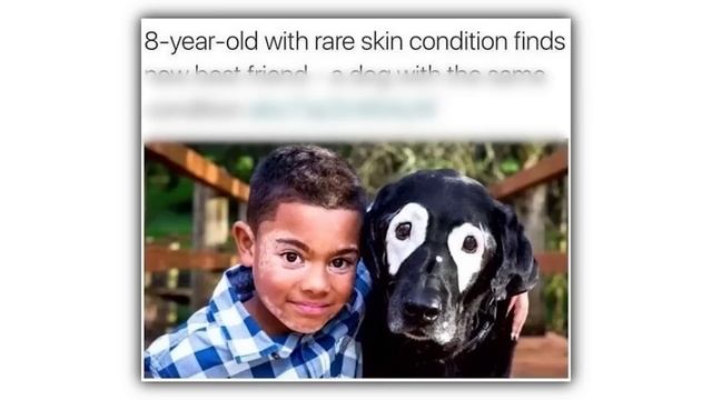 Very Wholesome Memes смотреть онлайн