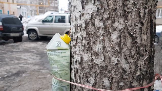 Пошел берёзовый сок 24 марта смотреть онлайн