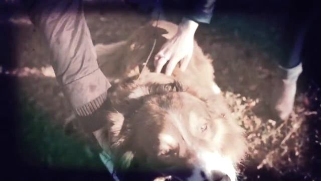 Тане показать смотреть онлайн