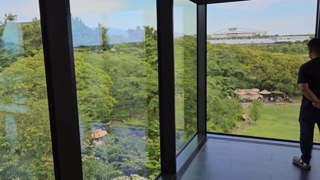 Jeju Green Tea Farm | O'sulloc Tea Museum | Jeju South Korea смотреть онлайн
