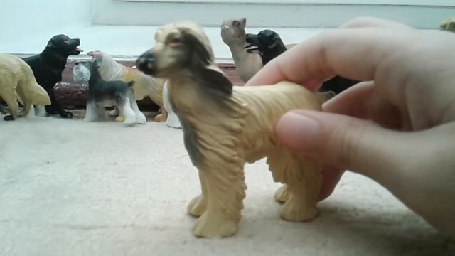 Моя коллекция собак смотреть онлайн