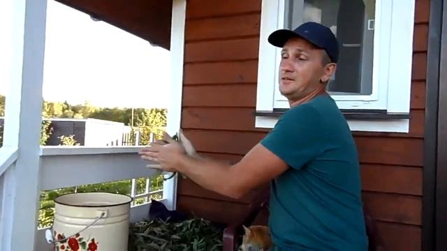 Иван чай намного круче!!! (июнь 2018 г.) смотреть онлайн