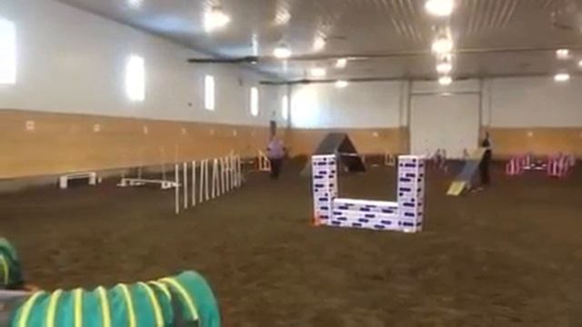 Latte-Scout Out 2014- Standard 2nd Try смотреть онлайн