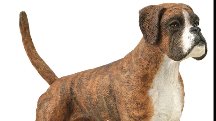 моя новинка,фегурка собаки фирмы collecta боксёр смотреть онлайн