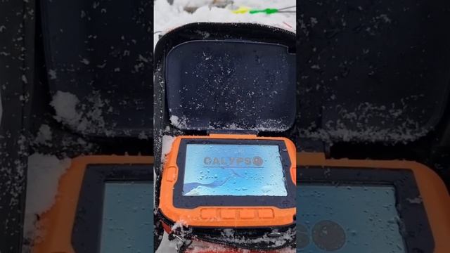 Незаменимый помощник Calypso UVS-03 Plus #fishingtales40 #дмитрийфишер #calypsoteam #папочкавернулс смотреть онлайн