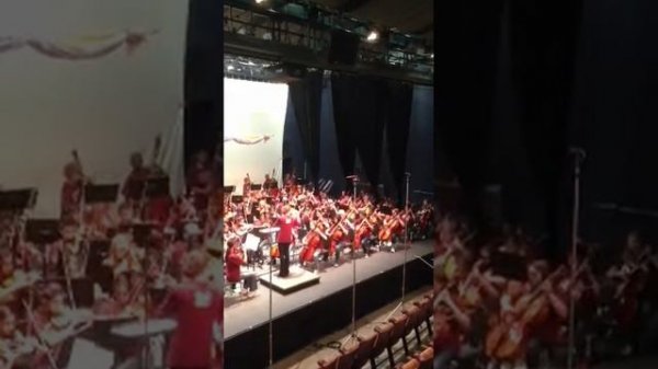 Otto orchestra