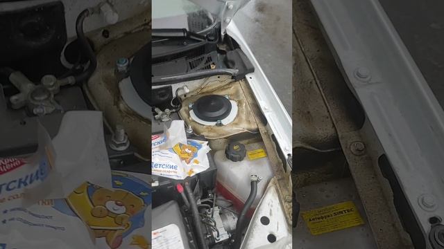 Заглушки стоек Лада Гранта