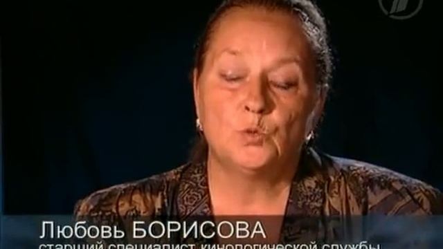 Тайны Века. Меньшие братья по оружию. смотреть онлайн