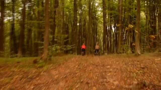 Влог●покатушка на велосипедах,спуск з гори. (Я дибіл)* смотреть онлайн