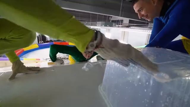 ВЫЖИТЬ НА СКОЛЬЗКОЙ ГОРКЕ ЧЕЛЛЕНДЖ