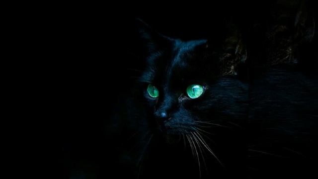 Myotusaki - Requiem for a dream (Brutalstep remix) смотреть онлайн