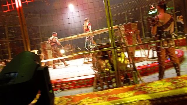 1000008633.mp4 смотреть онлайн