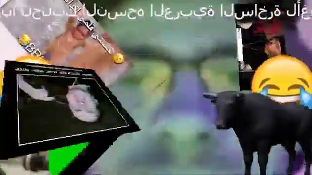чин чан чон, но это arabic Funny смотреть онлайн