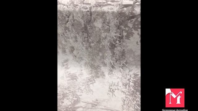 7-926 смотреть онлайн