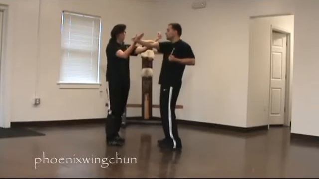 Siu Lim Tao Instructional Video Tan on the Outside смотреть онлайн