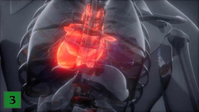 THIS is what happens to your Body when you Drink Energy Drinks EVERY DAY 💥 (Amazing) 🤯 смотреть онлайн