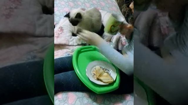 Утренний чай смотреть онлайн