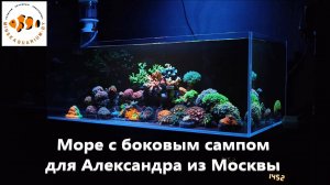 Морской аквариум с внутренним сампом для Александра