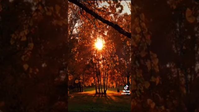 Выпей чай и не скучай! смотреть онлайн