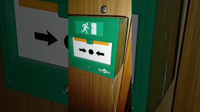 Animal Adventure Explorations Unleashed