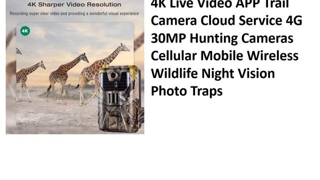 5 Best Wildlife Trail Camera Review 2021 смотреть онлайн