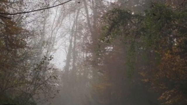 the smell of old books, rain and hot tea (in a playlist) смотреть онлайн