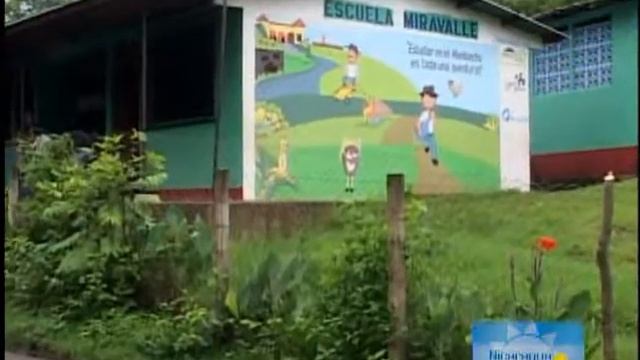Cafe Las Flores Canal 11 Nicaragua Empresaria смотреть онлайн