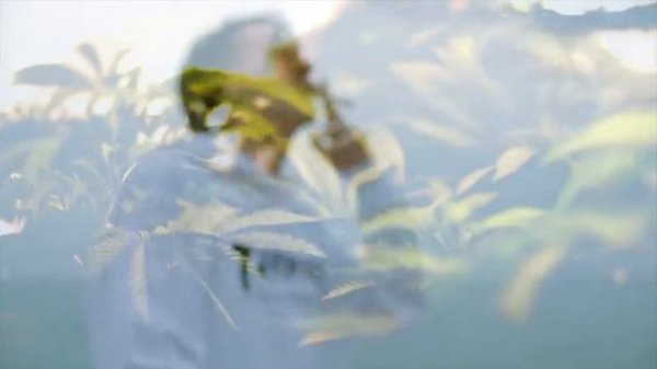 KIZARU - NIKTO NE NUZHEN